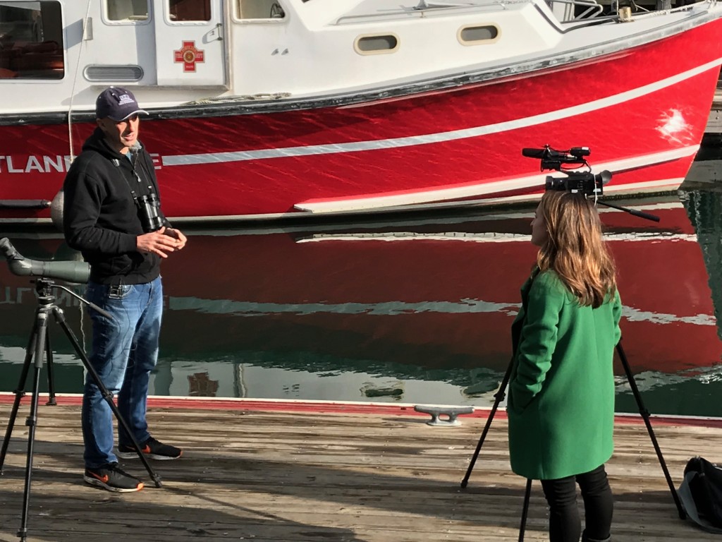 Noah Perlut being interviewed about his gull research along the Portland waterfront