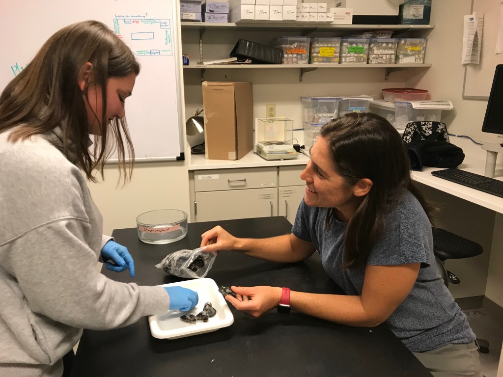 Student Emily Hanson works in the lab with Carrie Byron, Ph.D., assistant professor in the Department of Marine Sciences