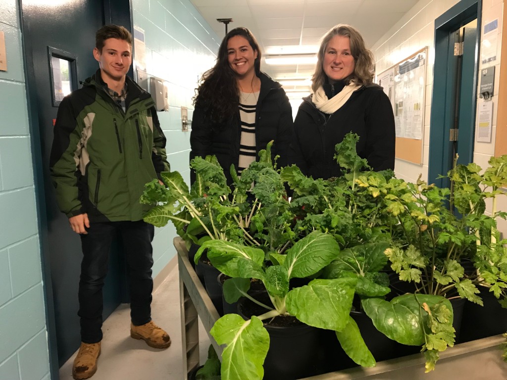 Alethea Cariddi, UNE’s sustainability coordinator, and students transfer plants from the Aquaponics Lab to the Living Wall