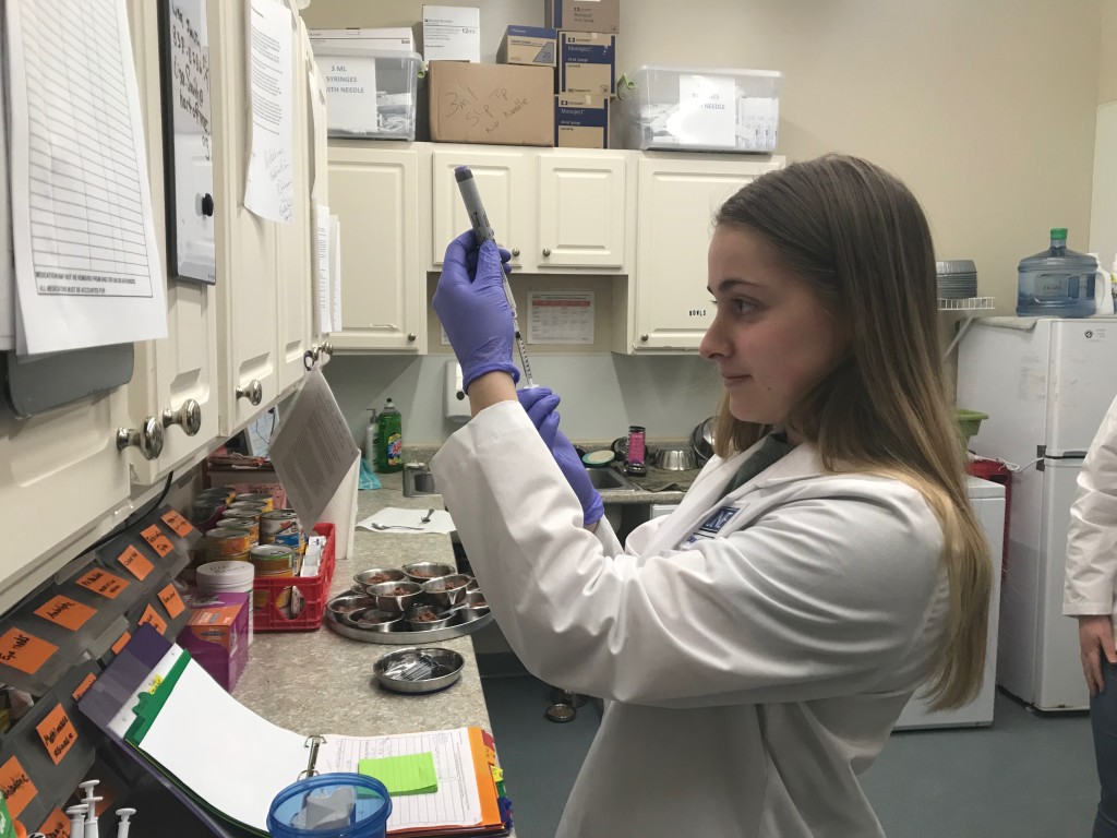 Student volunteer Emily Poirier measures her cat medication