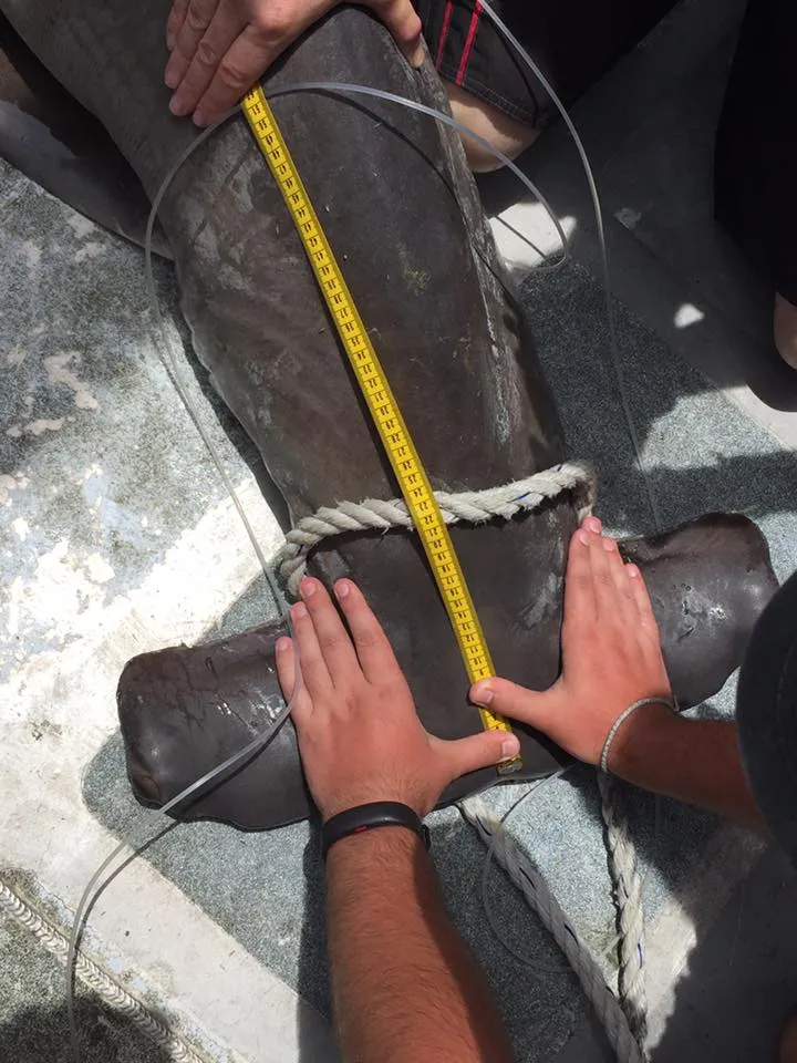 The class examines how fish respond physiologically to climate change and other human induced stress