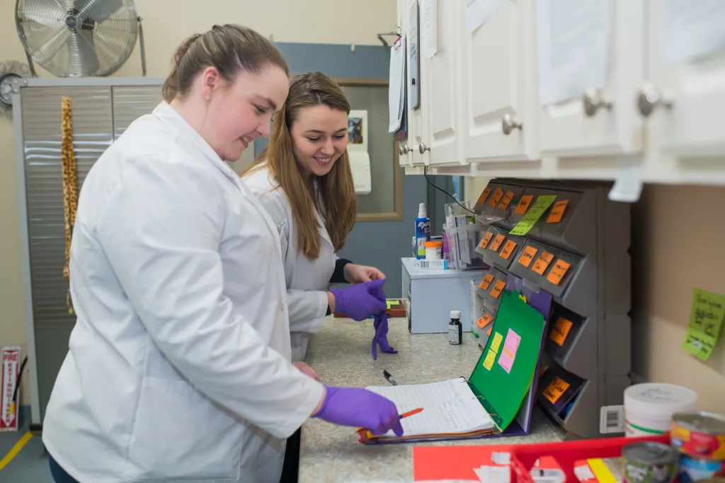 Smith and Carrell check the day's medication schedule