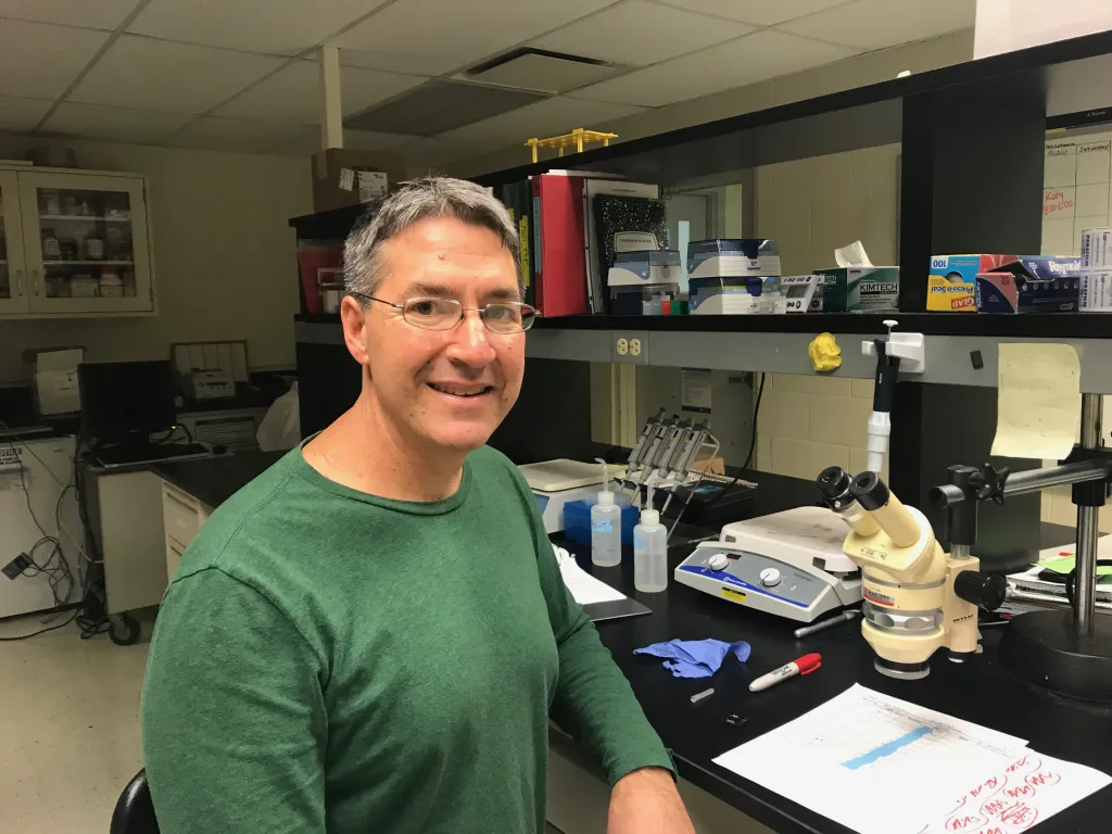 Ian Meng, director of the Center for Excellence in the Neurosciences and professor of Biomedical Sciences