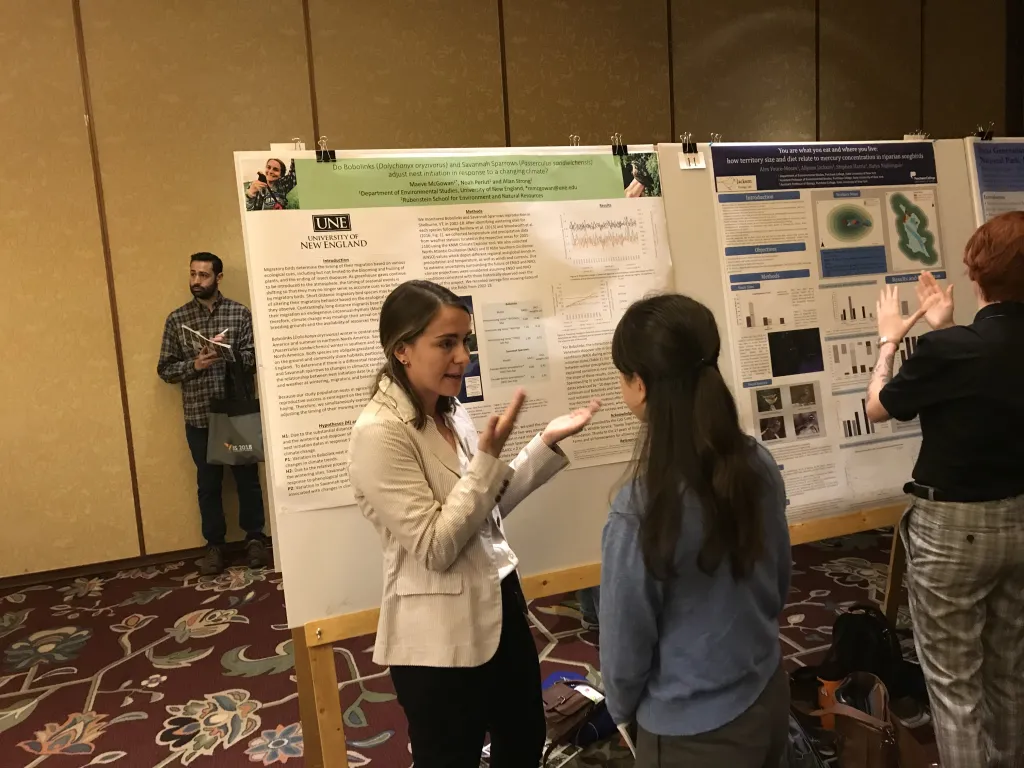 Maeve McGowan discusses her research on grassland songbird species