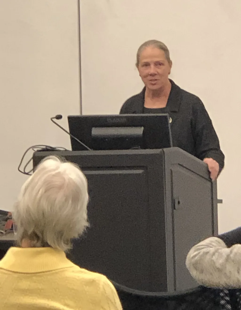 Speaker Ann Luther, treasurer for the League of Women Voters’ of Maine and the group's previous President and Co-President
