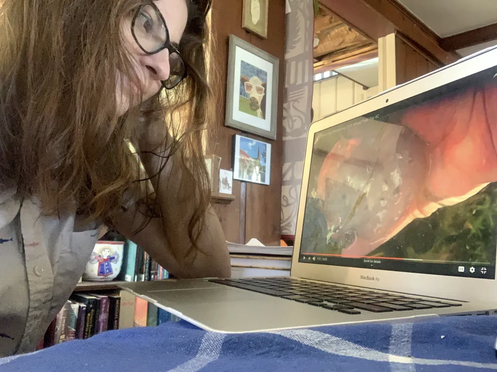 Tessa Rock (Marine Sciences, ’22) watches a virtual field trip offered by Pam Morgan. A salamander egg sack is visible