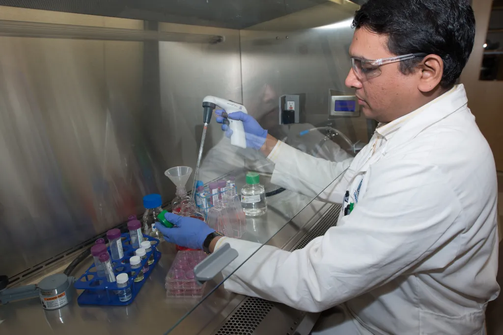 UNE's Srinidi Mohan is issued a patent for his breast cancer detection and monitoring method