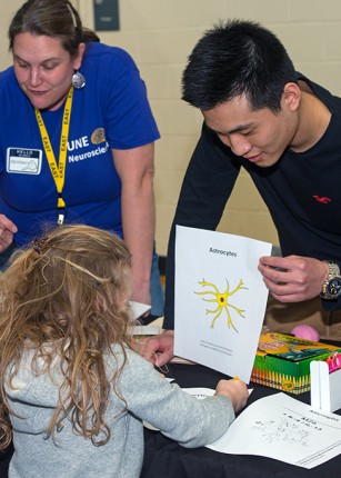 A student shows an illustration of an astrocyte to a kid at a U N E brain fair