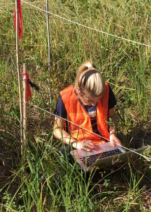 A student uses her laptop to make field notes