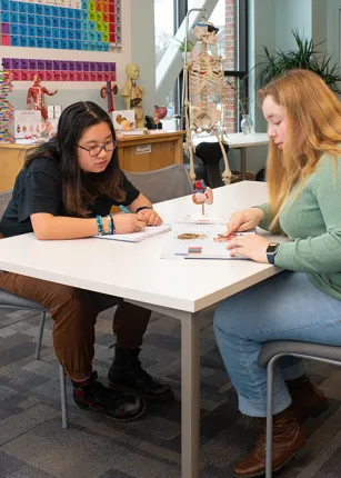 Two students study together in front of a colorful periodic elements poster and anatomical skeleton
