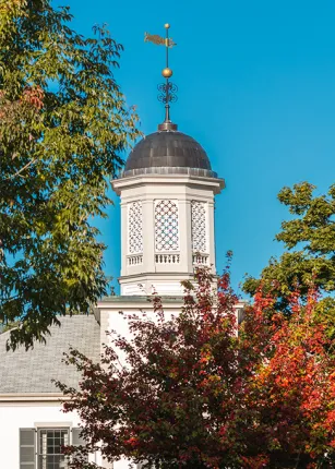 White cupola with lattice design and a weather vane on top, surrounded by trees and under a clear blue sky