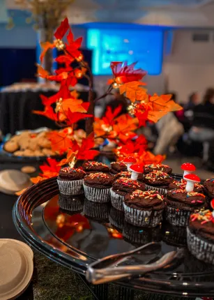 Cupcakes laid out with fall decor