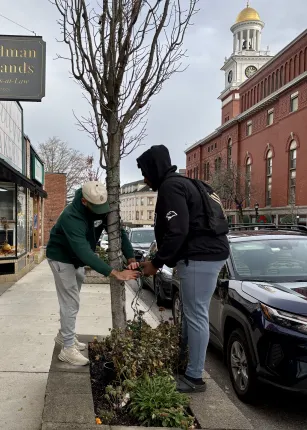 Since 2017, the University of New England students have volunteered to help the Heart of Biddeford non-profit decorate downtown Biddeford with holiday lights. This year, the light brigade showed up in force on Nov. 16 as 28 students climbed ladders up and down Main Street to help hang lights and decorate the town for the holidays.