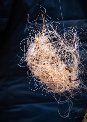 A tangle of fishing line that had washed up on shore