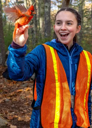 A student in a blue jacket and orange safety vest smiles excitedly while holding a red cardinal perched on their hand in an autumn forest setting.
