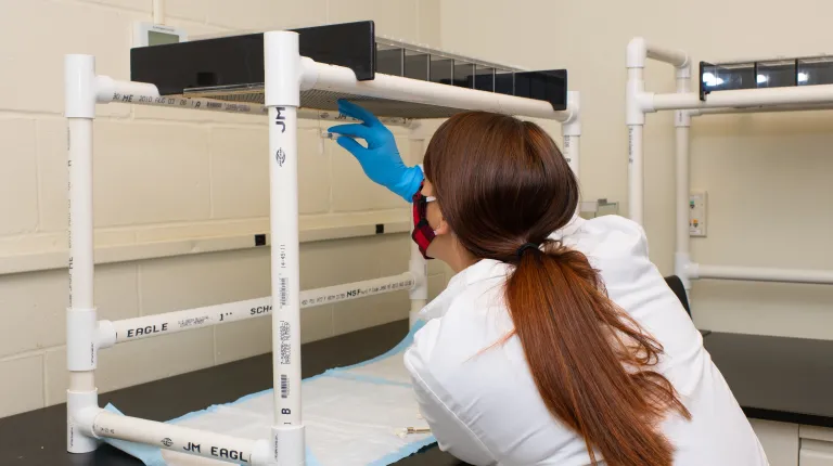 A student works in the COBRE lab