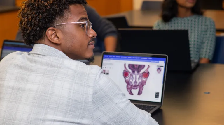 A student looks at microscope slide in a clinical anatomy class