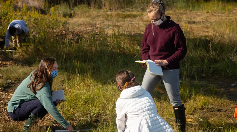 Students survey the marshland on campus