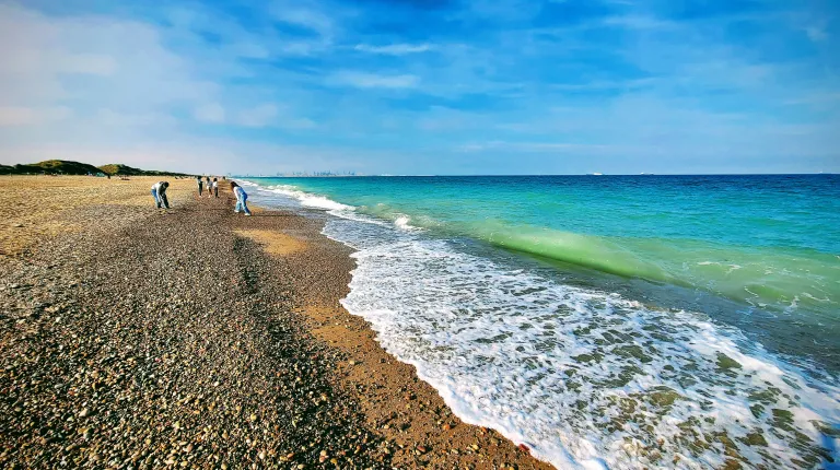 View of a rocky beach