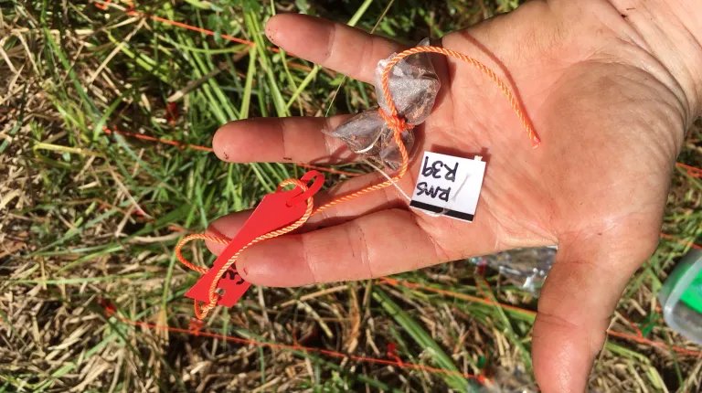 A hand holds a bag of tea