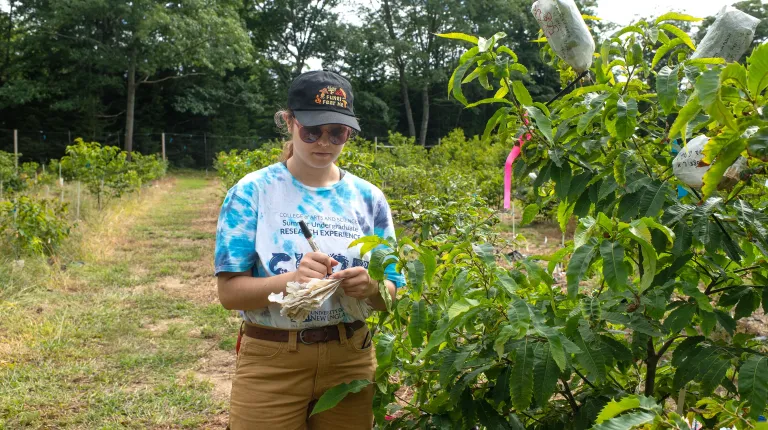 A U N E student in a SURE t-shirt holds a notebook and writes observations of a tree