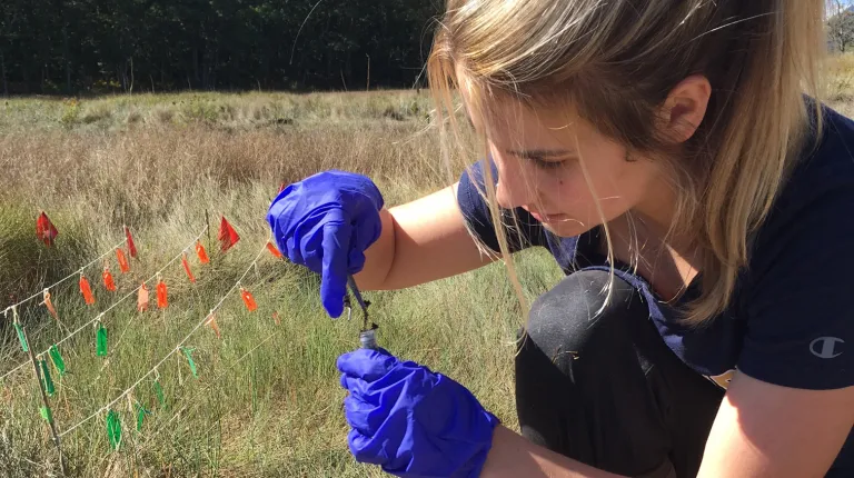 A student takes a soil sample in the field