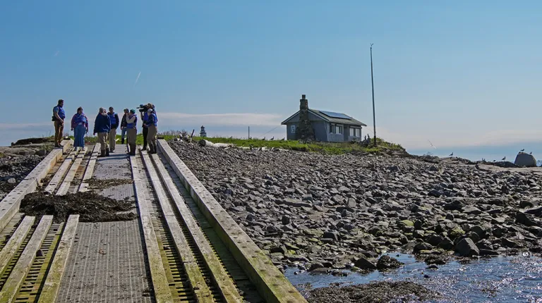A group of students stand at the end of a dock near a small building on an island