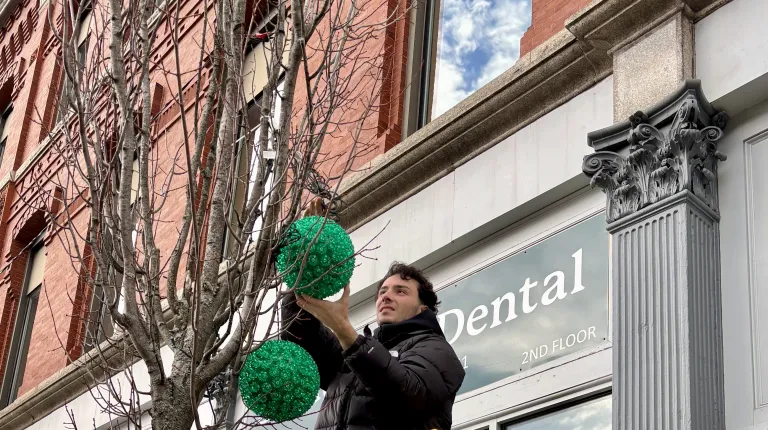 Since 2017, the University of New England students have volunteered to help the Heart of Biddeford non-profit decorate downtown Biddeford with holiday lights. This year, the light brigade showed up in force on Nov. 16 as 28 students climbed ladders up and down Main Street to help hang lights and decorate the town for the holidays.