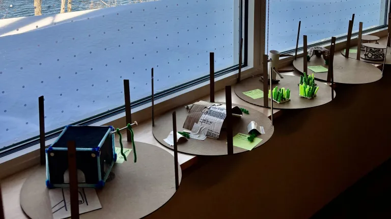 UNE students use innovation to enhance enclosures for happy eels