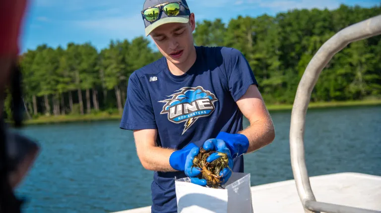 Jackson Martine transfers green crabs to holding containers