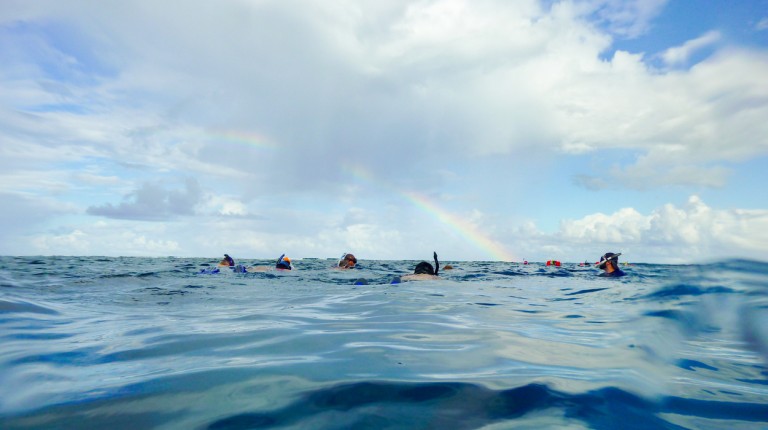 Snorkeling in Belize on the Surface Under a Rainbow