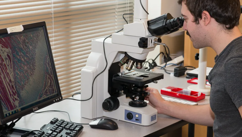 A student looks into a high-tech microscope at the UNE COBRE Histology and Imaging Core. Cells are displayed on a computer screen.