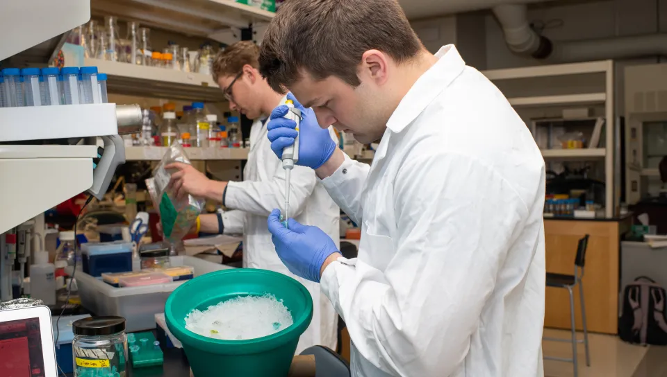 A student uses a pipette in a chemistry lab