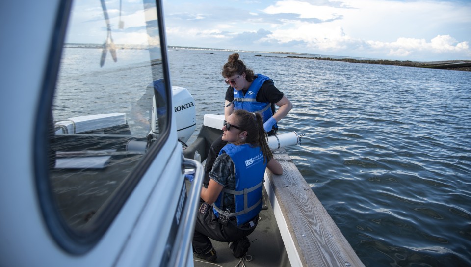 Marine Sciences students test water quality