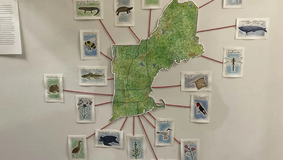 Work by Morgan Holley