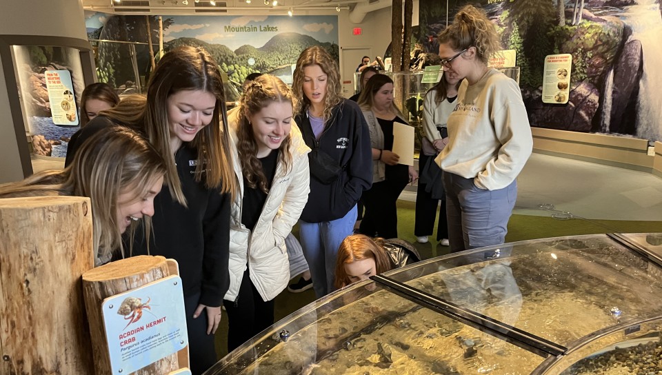 Students visit the touch tank at the aquarium