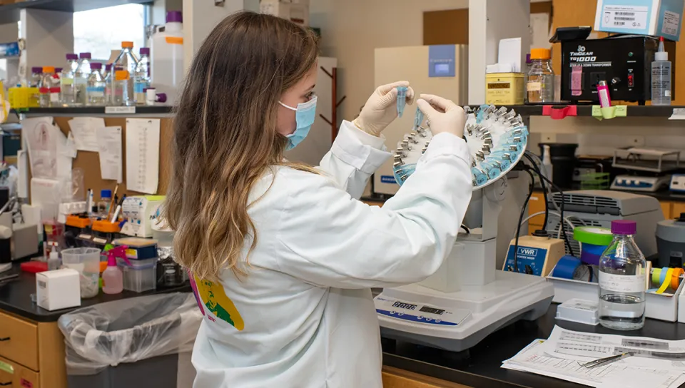 A student goes through a group of slides