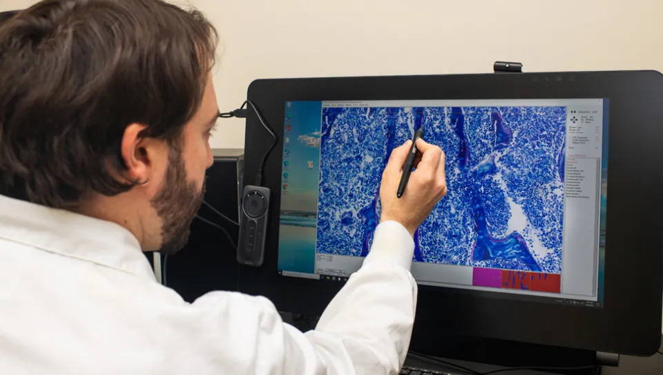 A student reviews a histology image on their computer screen