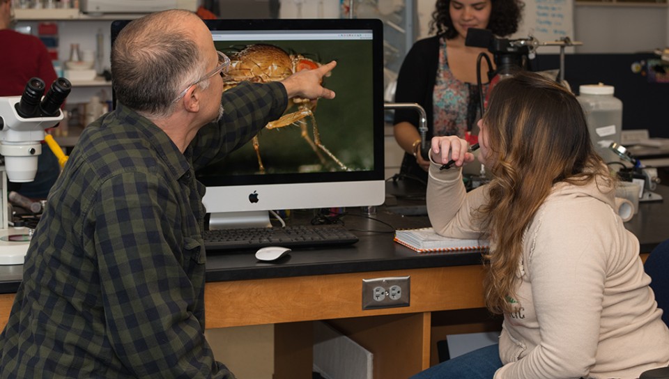 A faculty member and student discussing fruit flies