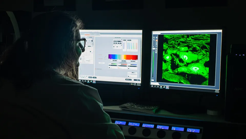 A student reviews microscopic images on a computer screen