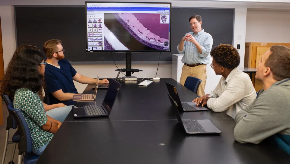 A professor teaches clinical anatomy students in a lab