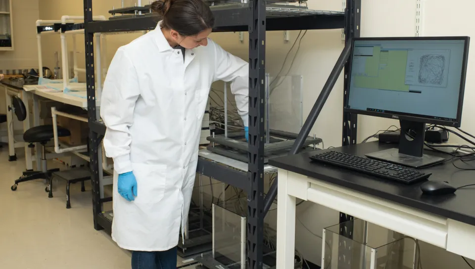 A student in a white lab coat working in a C O B R E lab