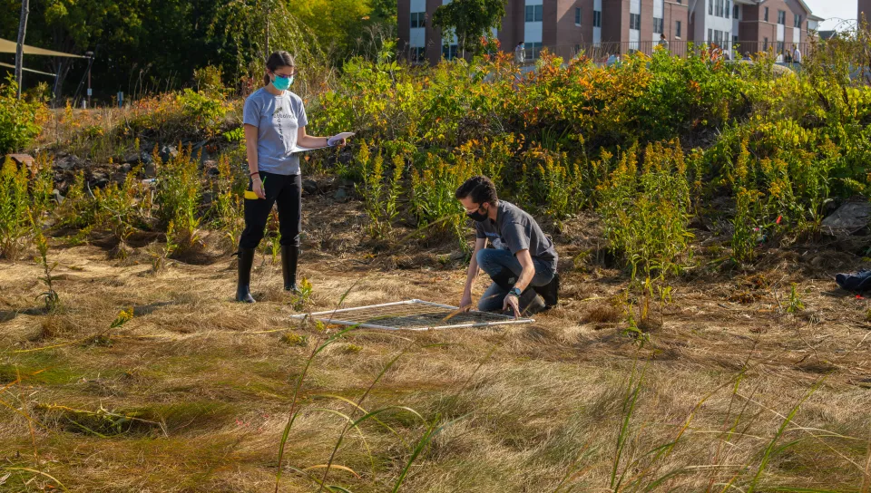 Students survey the marshland on campus