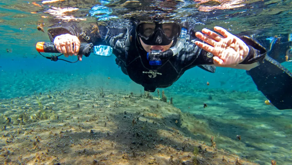 A U N E student in a wetsuit and goggles snorkels in clear, shallow water