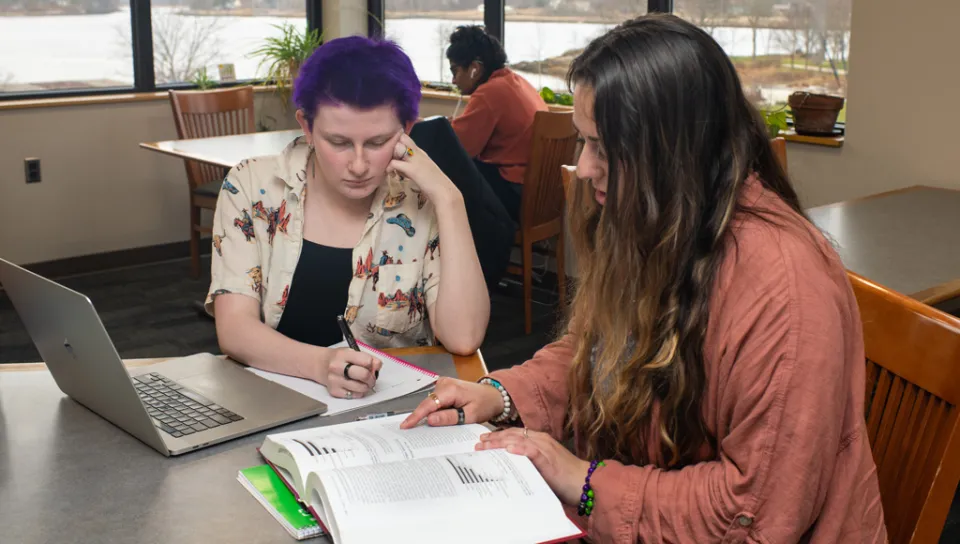 Two students review a mathematics book