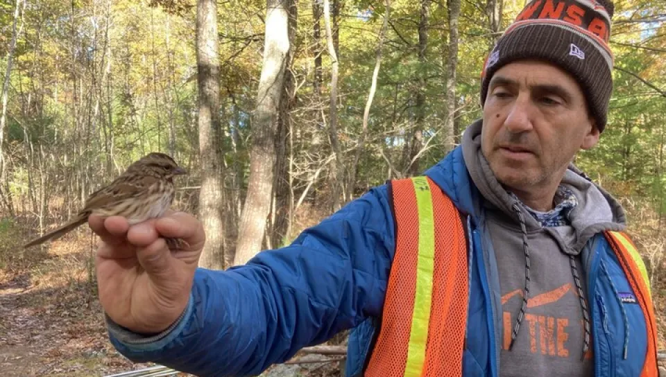 Noah Perlut holds a wild bird.