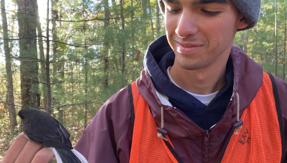 Professor Noah Perlut has been teaching a bird-banding class since 2011.