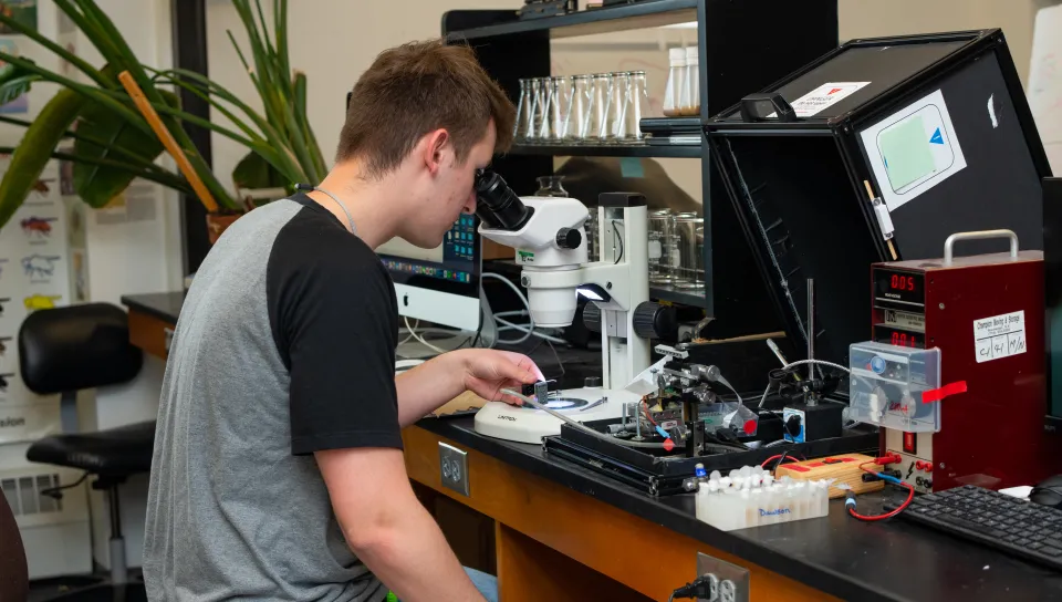 A student sits at a microscope in a lab setting