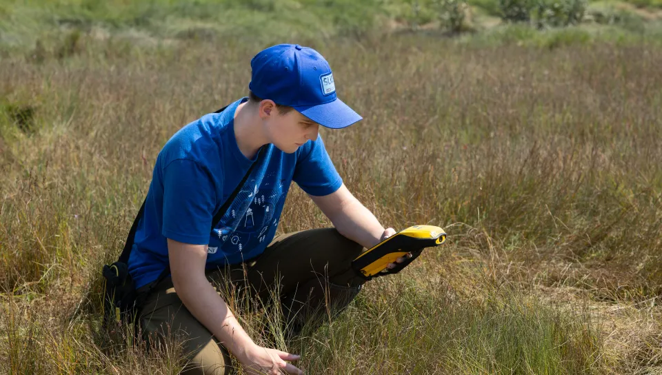 Robyn Rollo Survey for Snails