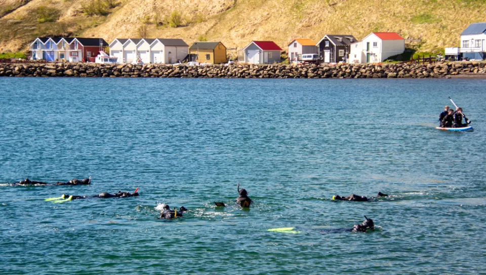 U N E students snorkeling and a small Icelandic town sits in the background